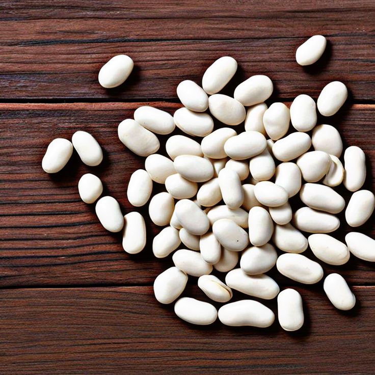 Premium Wholesale Iranian Navy Beans for Embassies, Ministries and Diplomatic Catering Services; Sustainable Supply & Full Documentation